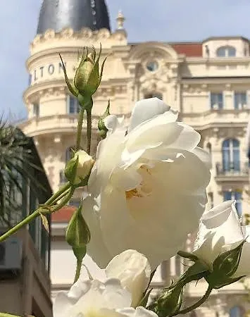 Apartment Croisette Cannes